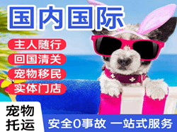 怀化芷江航空快递国际宠物托运 【国